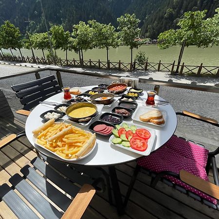 Ozkan Otel Uzungöl Εξωτερικό φωτογραφία